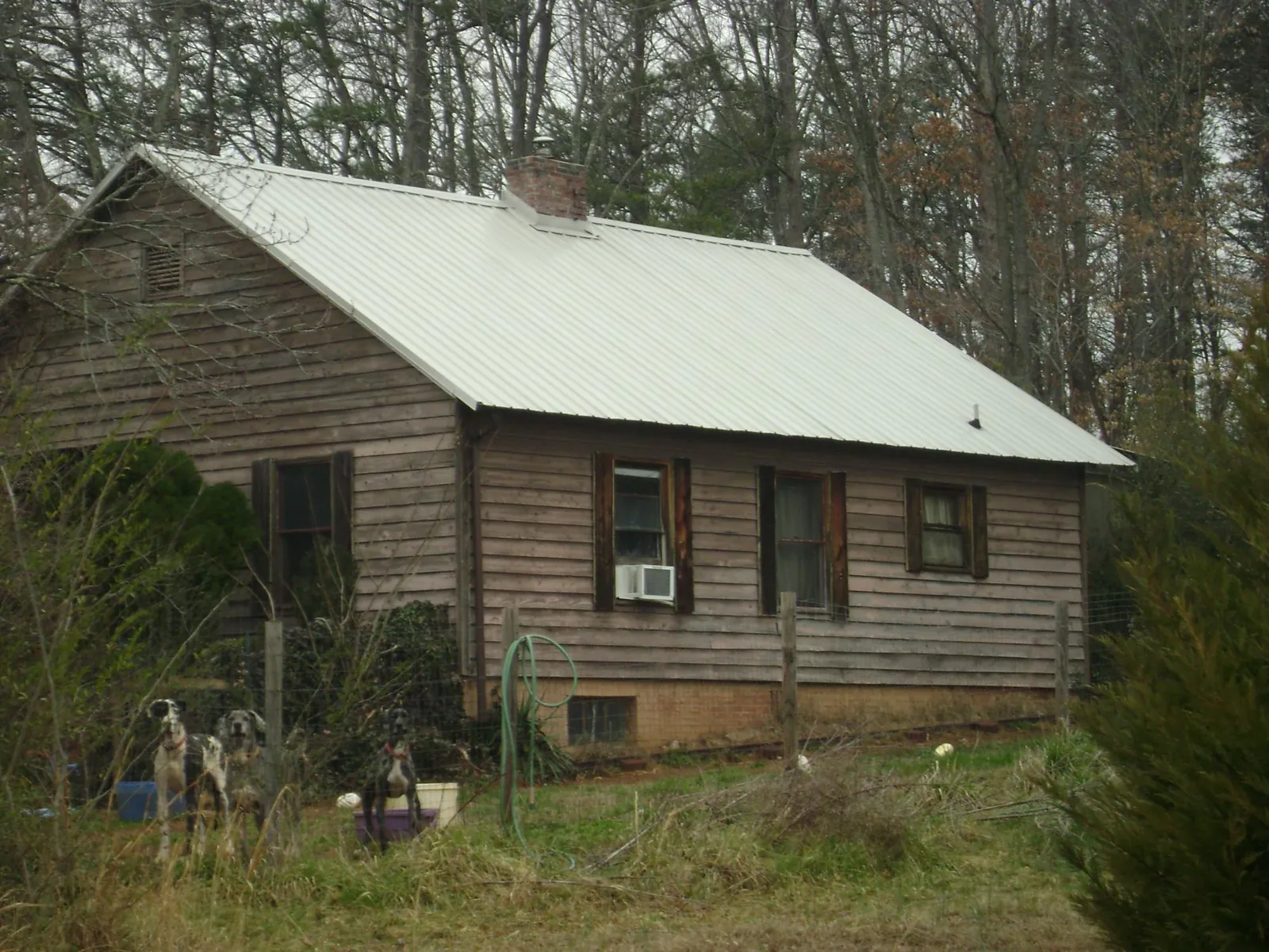 White metal roof on an old wood sided farmhouse, from a Metal Roof Installation job in Winthrop Harbor